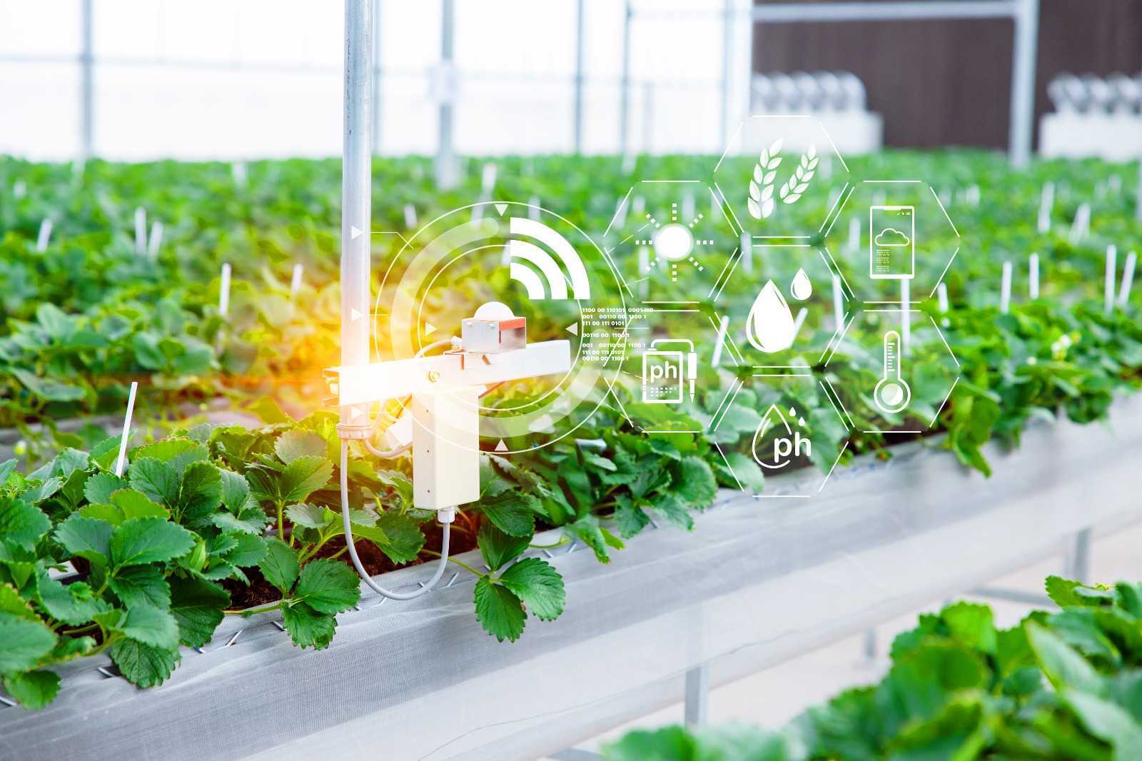 AgriBusiness Image